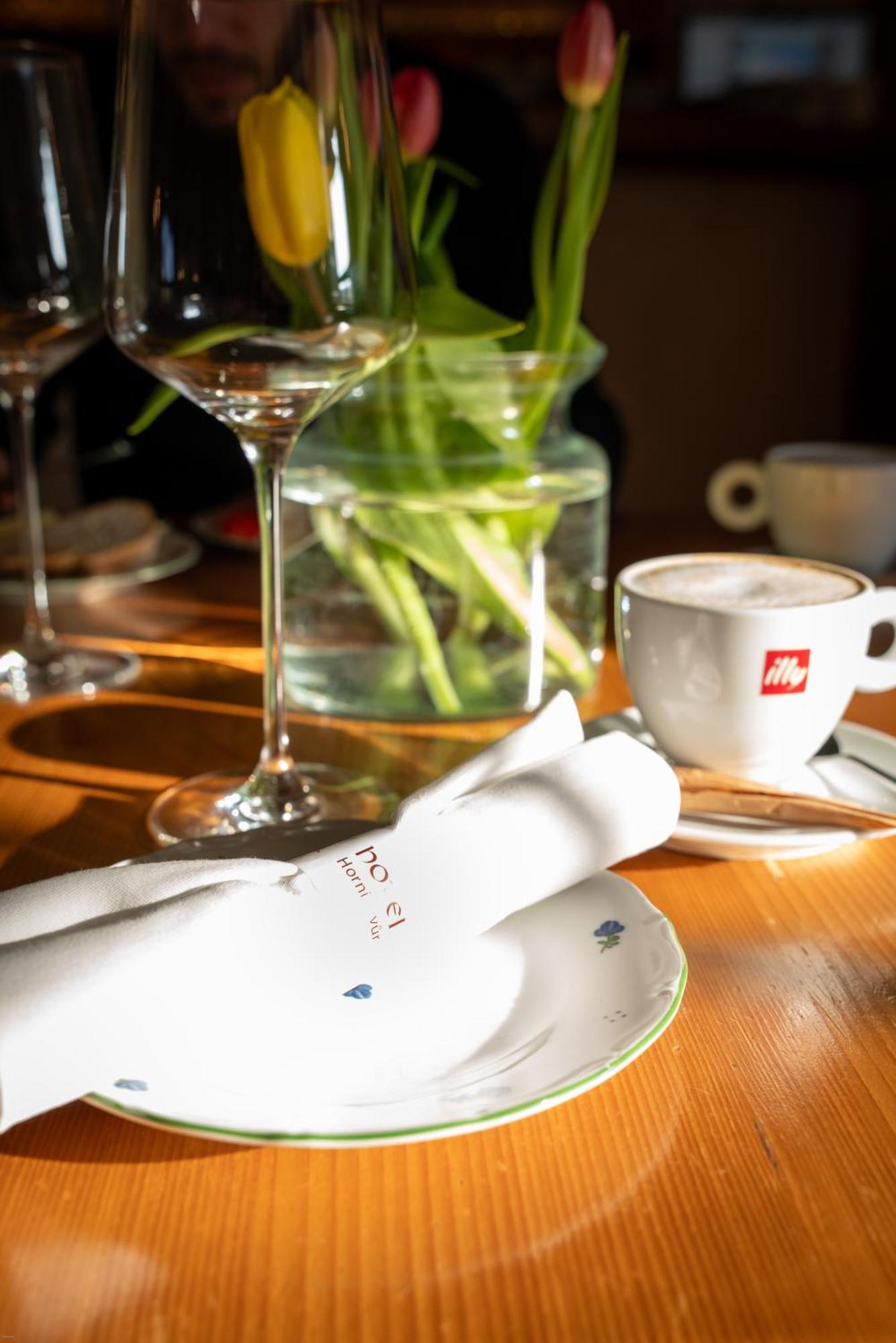 Hotel Horni Dvur Nove Mesto na Morave